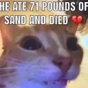 HE ATE 71 POUNDS OF SAND AND 