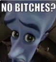 NO BITCHES
