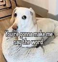 The word.