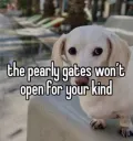 The pearly gates