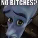 no bitches