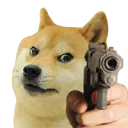 dog gun