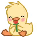 ducky rose