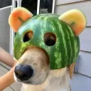 Melon Dog