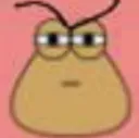 Pou
