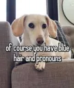 Liberal Lesbian