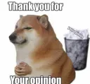 your garbage opinion