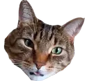 Bepis Blep