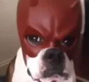 howufelt
