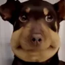 Akward