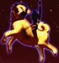 RIDE