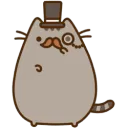 sir_cat