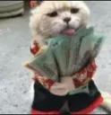 oppcat