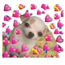 LoveDog
