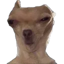 Chupado