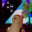 rawrcat