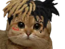 xxxcat