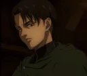 Levi