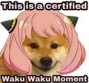 mc_waku_waku