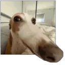 do we have a problem?