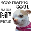 .gg/climax TELL ME MORE