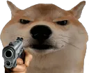 dog gun point