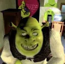 shrek is love, shrek is life