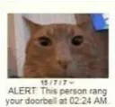 this person rang your doorbell