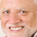 hide the pain harold