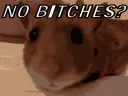 Nobitches?