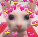 your so fucking precious