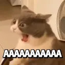 AAAAAAAAAAAAAAAAAAA