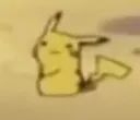 pika stare
