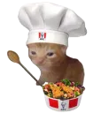 cat chef