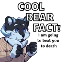 cool bear fact!