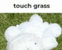 Touch Grass