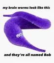 bob the brain worm