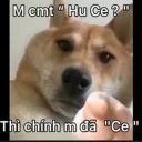 may noi hu ce ?