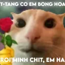 tặng cô em bông hoa