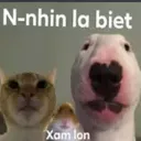 nhin la biet xam lon