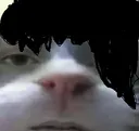 emeow