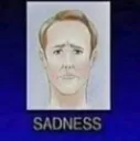 sadness