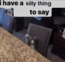 Silly_cat