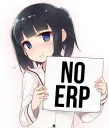 NoERP