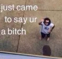 bitch
