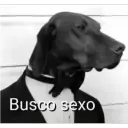 Busco sexo