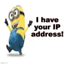 ip address