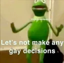 kermit gay