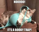 Boobie_Trap