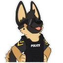 Jewel cop